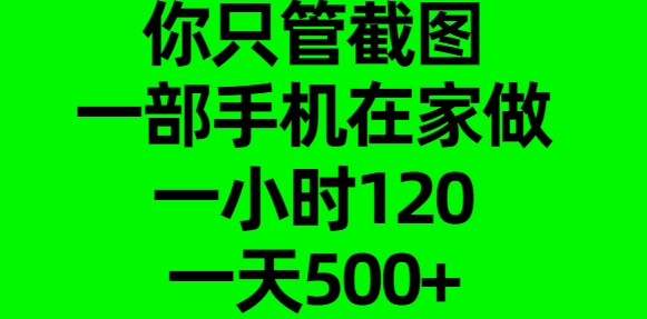 你只管截图，一部手机在家做，一小时120，一天500+网创吧-网创项目资源站-副业项目-创业项目-搞钱项目念念云网创