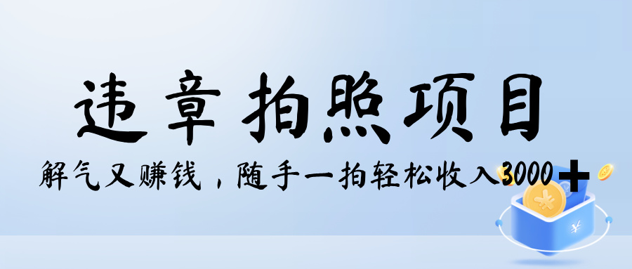 解气又赚钱的项目，最新违章拍照赚钱，随手一拍，轻松收入3000+网创吧-网创项目资源站-副业项目-创业项目-搞钱项目念念云网创